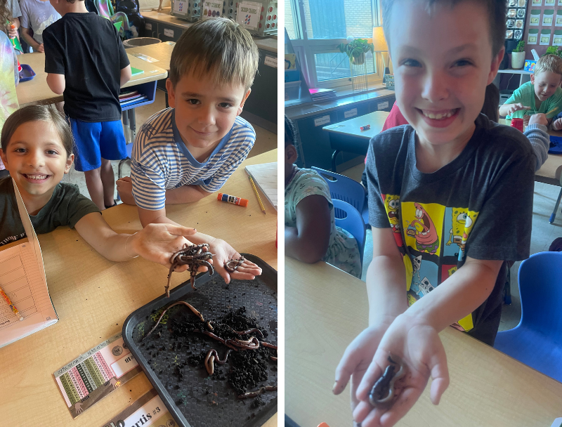 Nixa Public Schools tweet media