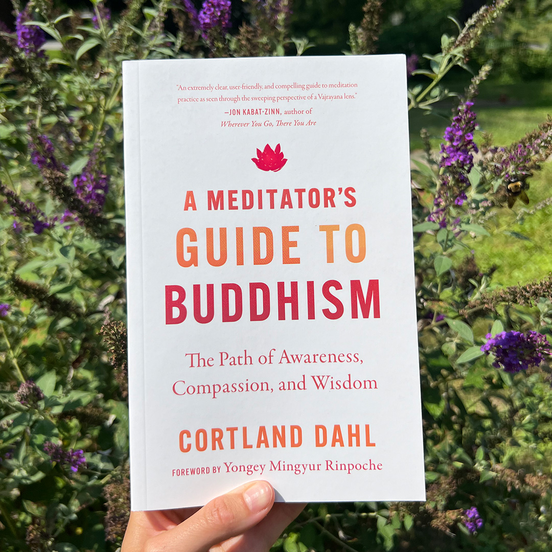 Happy Publication Day to A Meditator’s Guide to Buddhism by Cortland Dahl!

shambhala.com/meditators-gui…