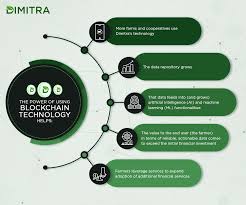 The0xGoku's tweet image. 4/7 Dimitra&apos;s platform is built on the Ethereum blockchain, ensuring a  secure and transparent way to track crops from farm to table. With its  decentralized nature, Dimitra&apos;s platform eliminates intermediaries,  reducing costs and increasing efficiency for farmers. #DimitraTech…