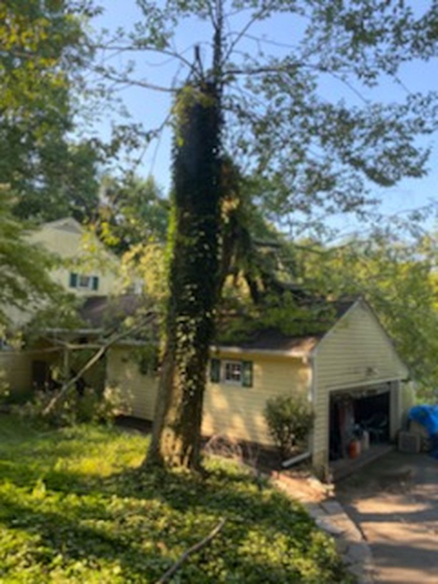 RayTheTreeGuy's tweet image. Every tree is unique. Our tree consulting service offers personalized advice to meet your specific needs. Call us today for more information at (860) 206-3851. #TreeConsulting #RayTheTreeGuy
treeserviceglastonbury.com/about_us