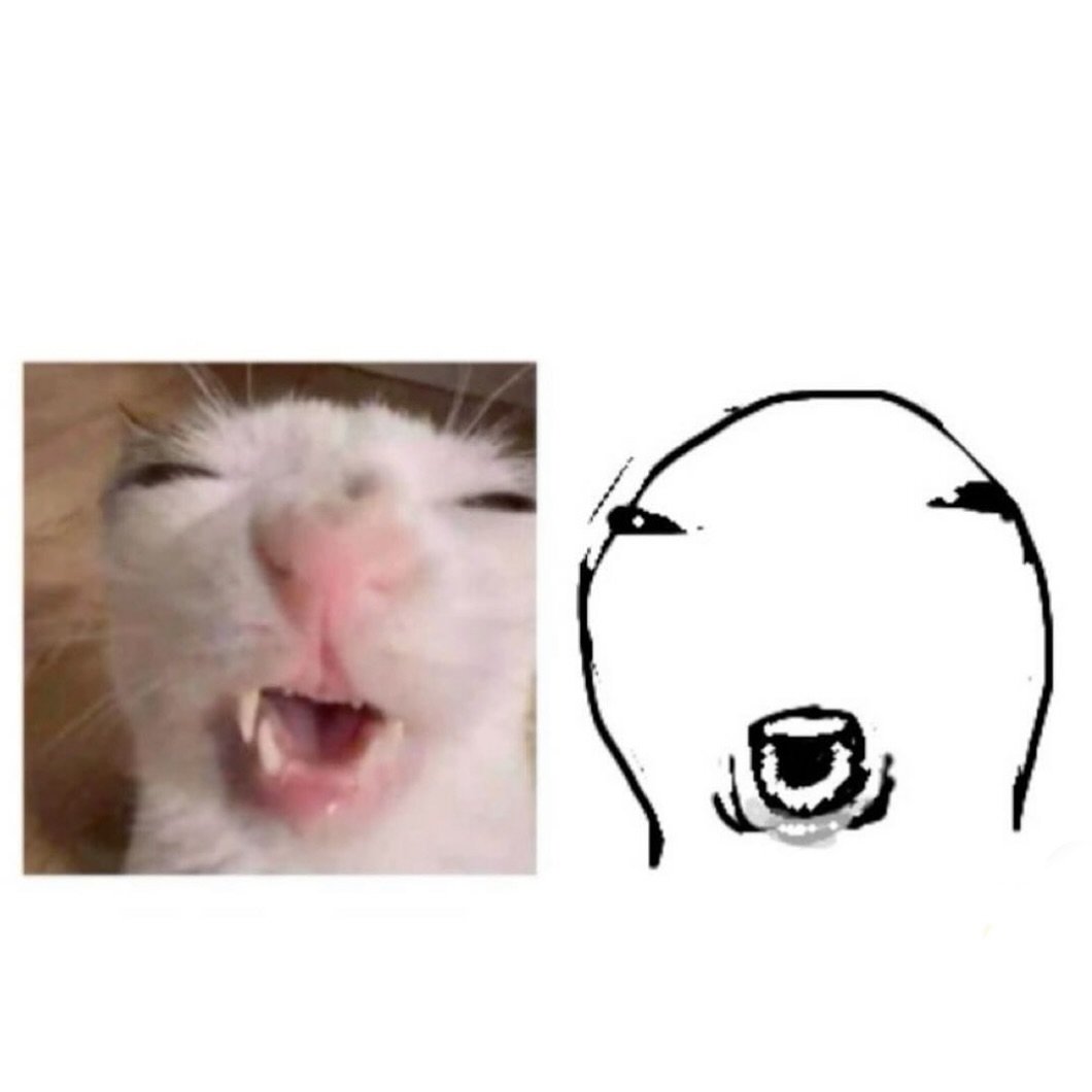 PunchingCat's tweet image. 