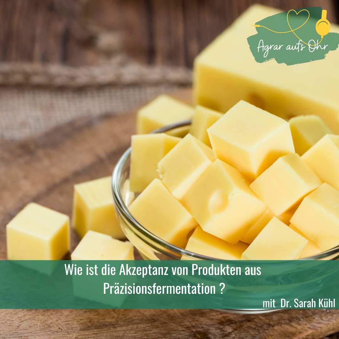 In der neuesten Folge unseres Podcasts sprechen wir mit Dr. Sarah Kühl über die Akzeptanz von Produkten aus Präzisionsfermentation. Viel Spaß beim hören  
Link zur Folge: open.spotify.com/episode/1mBw8p…