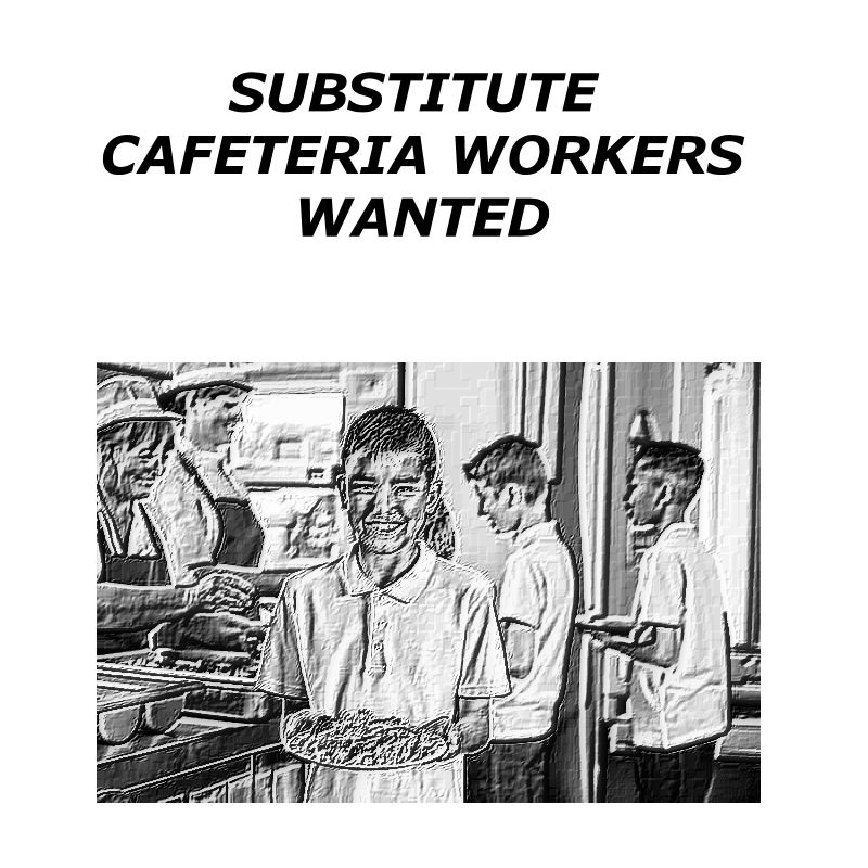 We are looking for Substitute Cafeteria Workers: peru.k12.in.us/includes/admin…