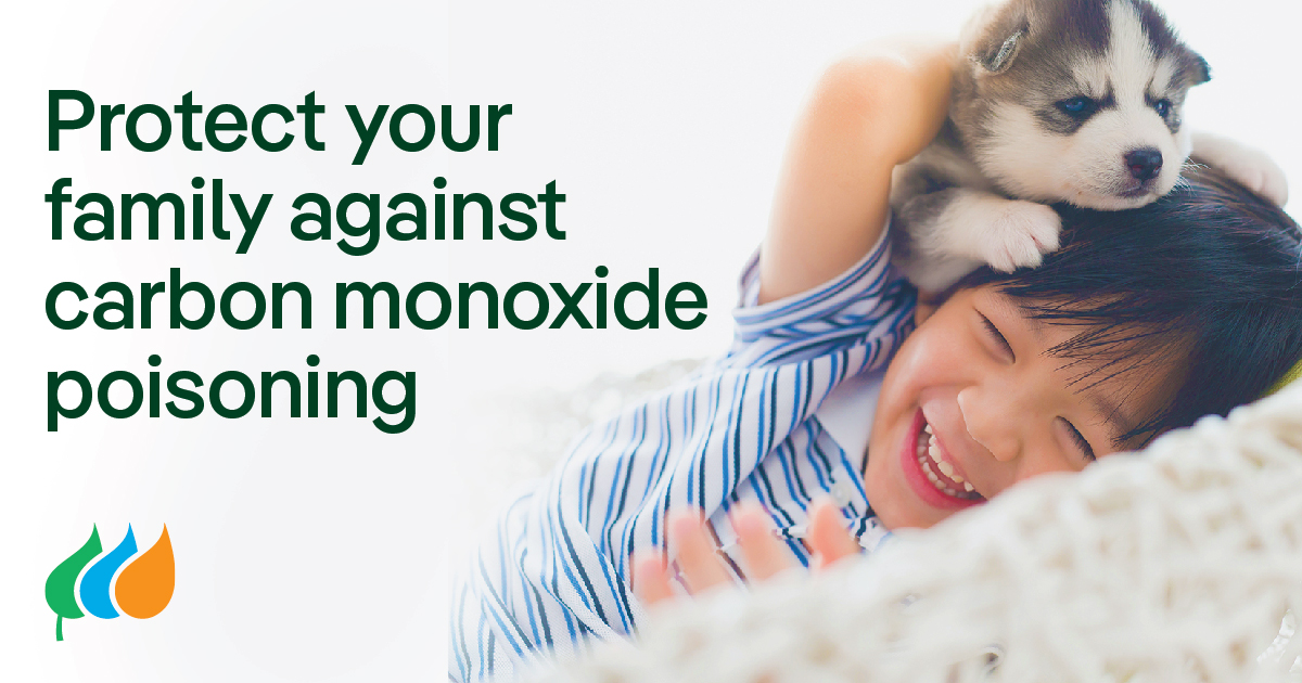 Carbon monoxide is a colorless, odorless and toxic gas, and poisoning can happen in a matter of minutes! If you suspect a problem, don’t hesitate to go outside. In an emergency, call 911 from an outside phone.