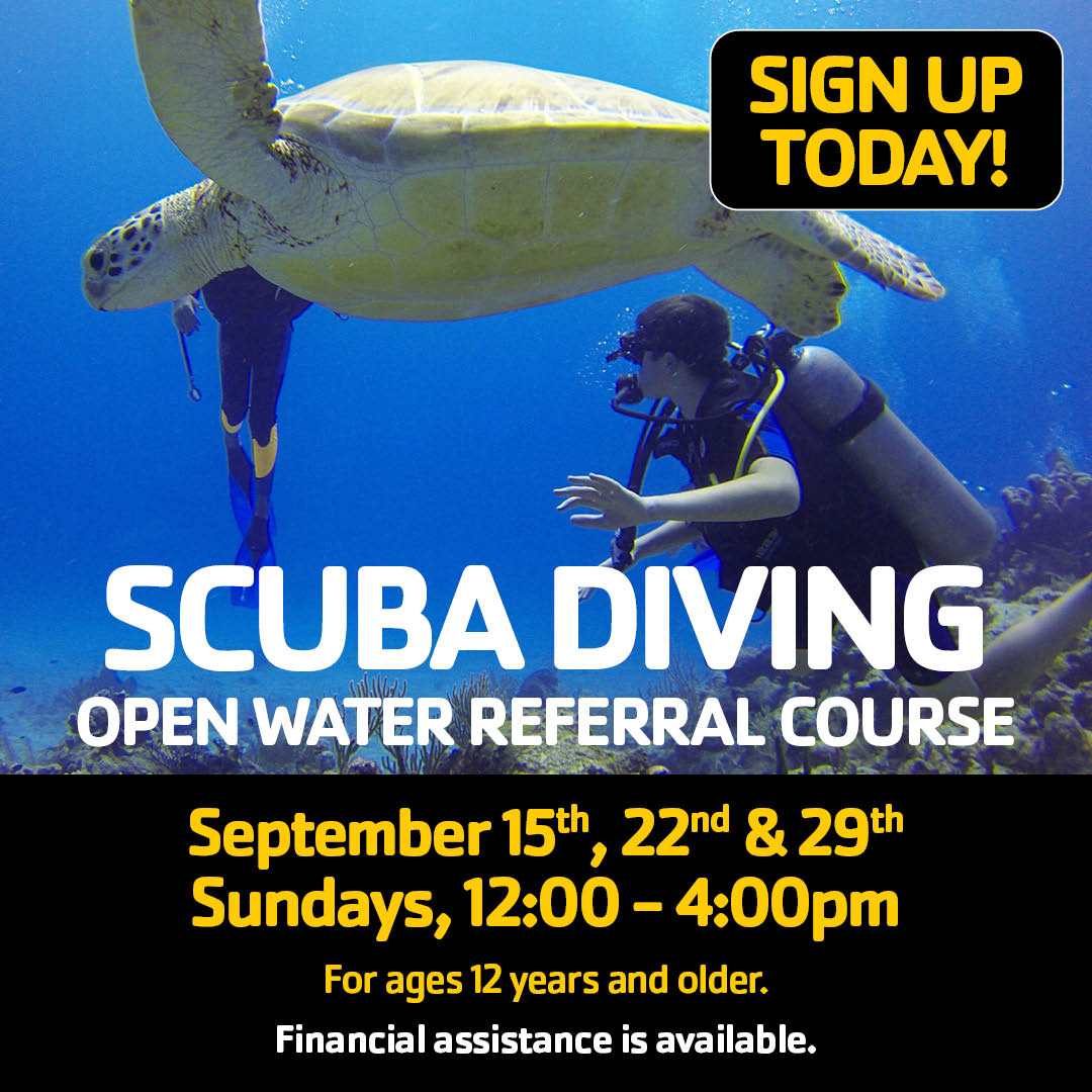 BangorYMCA's tweet image. There is still time to sign up for #Scuba this month! Learn all you need to know with this Open Water Referral Course! 🏊 #LearnToScuba #BangorY

Sign up TODAY at bangory.org/aquatics/scuba…