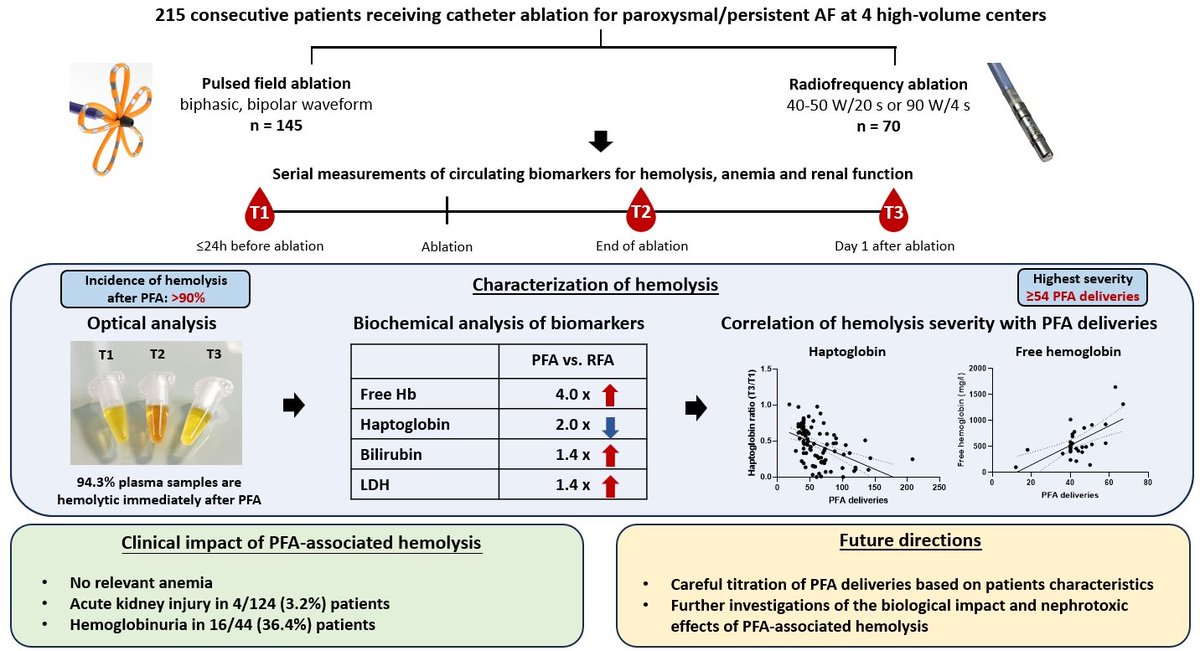 CircEP (@circulationep) on Twitter photo In this multicenter study, intravascular hemolysis affected 94.3% of patients after PFA, with the highest severity occurring above 54 PFA deliveries #AHAJournals #Epeeps <a href="/SergeBoveda/">Serge Boveda</a> <a href="/dogi84md/">Domenico Giovanni Della Rocca, MD</a> @CaluoriGuido doi.org/10.1161/CIRCEP… In this multicenter study, intravascular hemolysis affected 94.3% of patients after PFA, with the highest severity occurring above 54 PFA deliveries #AHAJournals #Epeeps <a href="/SergeBoveda/">Serge Boveda</a> <a href="/dogi84md/">Domenico Giovanni Della Rocca, MD</a> @CaluoriGuido doi.org/10.1161/CIRCEP…