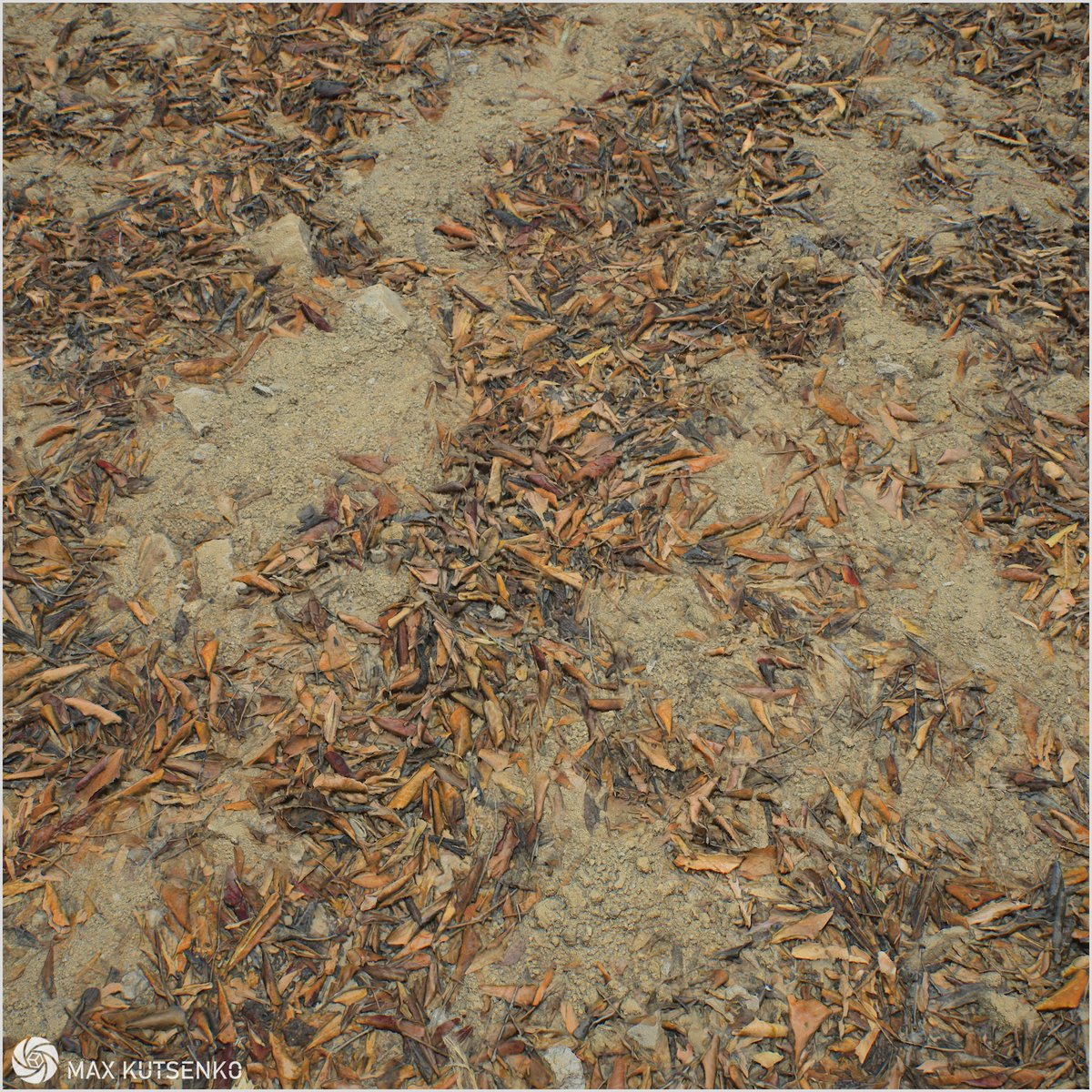 Max Kutsenko (@max_kutsenko) on Twitter photo A scan of some leaves I made while on holiday in Creixell <a href="/artstationhq/">ArtStation.com</a> artstation.com/artwork/mAzzge
Reconstructed in <a href="/RealityCapture_/">RealityScan</a>
Final material assembly in <a href="/Substance3D/">Adobe Substance 3D</a>
Seam removal in #ArtEngine #gamedev #photogrammetry #scanning #rendering #cgartist A scan of some leaves I made while on holiday in Creixell <a href="/artstationhq/">ArtStation.com</a> artstation.com/artwork/mAzzge
Reconstructed in <a href="/RealityCapture_/">RealityScan</a>
Final material assembly in <a href="/Substance3D/">Adobe Substance 3D</a>
Seam removal in #ArtEngine #gamedev #photogrammetry #scanning #rendering #cgartist