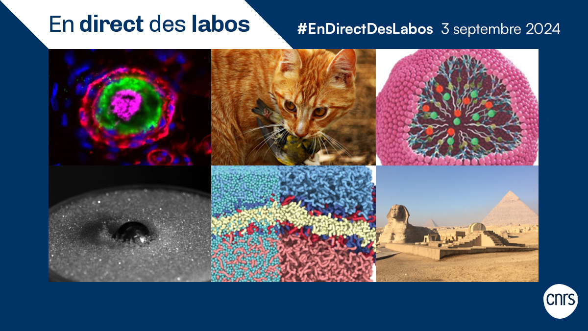 #EnDirectDesLabos 🔎 Nouvelles actualités scientifiques 🔬, création de laboratoires 👨‍🔬, annonce de prix 🏅... Retrouvez toutes les deux semaines les informations issues des laboratoires du <a href="/CNRS/">CNRS 🌍</a>.

➡️ cnrs.fr/endirectdeslab…