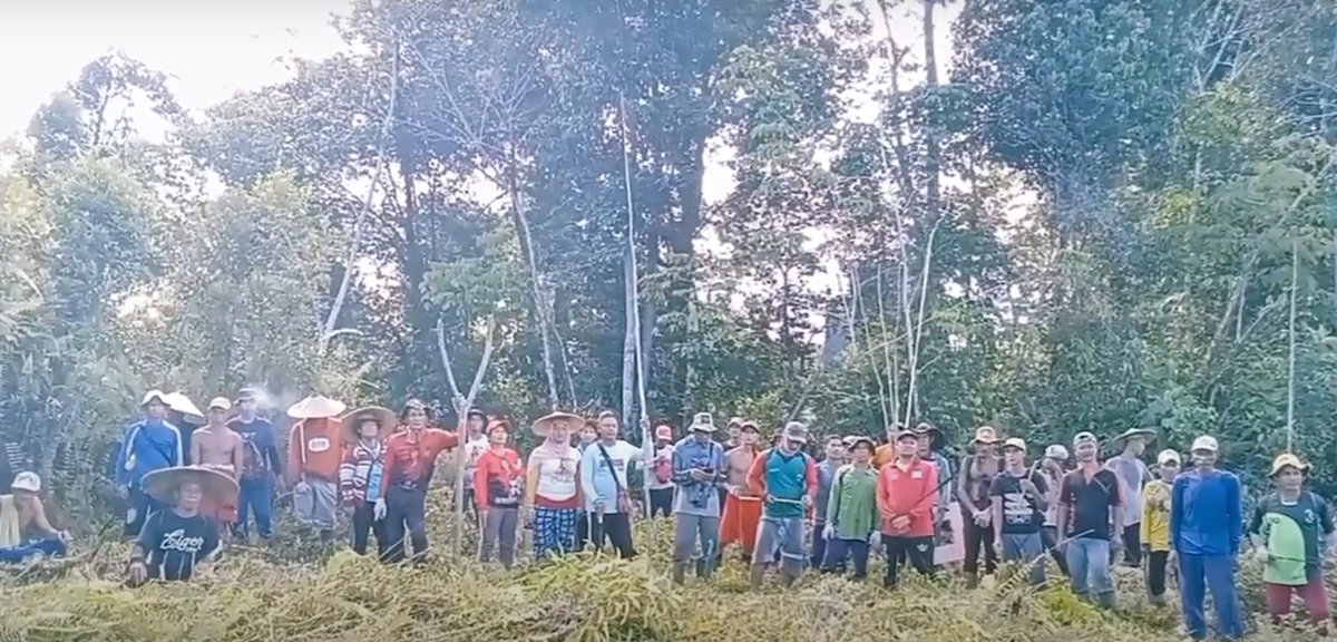 Masyarakat Adat Desa Labai Tolak Pembabatan Hutan untuk Sawit dan Tambang oleh PT HTI dlvr.it/TCmHZ3
