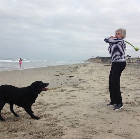 Off-season rules resume today at Del Mar's dog-friendly beaches through June 15, 2025.
buff.ly/2X6yAw1