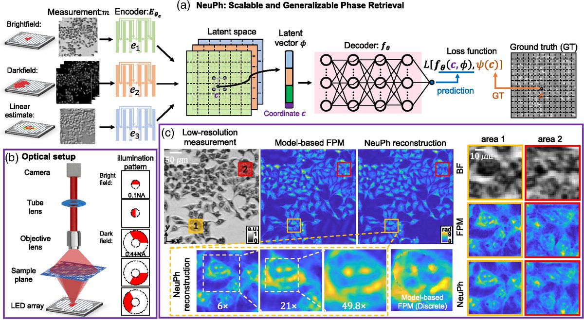 Hao’s work "NeuPh: a scalable, robust, and generalizable neural phase retrieval method". By integrating a coordinate-based training strategy, NeuPh enables continuous-domain, resolution-enhanced phase reconstruction with improved scalability and accuracy.
doi.org/10.1117/1.APN.…