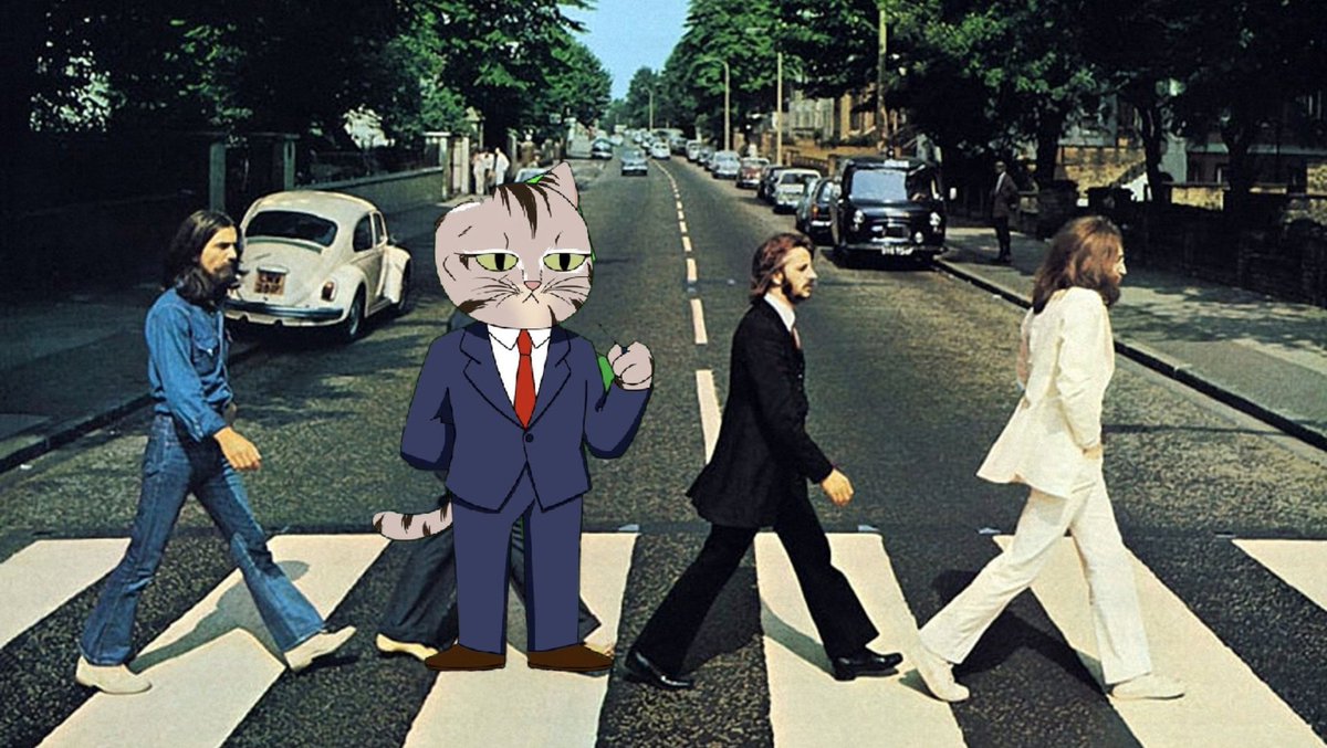 Scouse cat $TSUJI
<a href="/TsuTsuji_Token/">TSUJI</a>