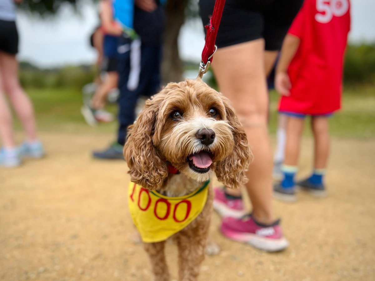 Bushy parkrun made history last weekend with their 1,000th event seeing a record-breaking 6,204 finishers and 134 volunteers 🎊  

A huge shoutout to the Bushy parkrun team for making this unforgettable milestone possible 🙌 

🌳 #loveparkrun