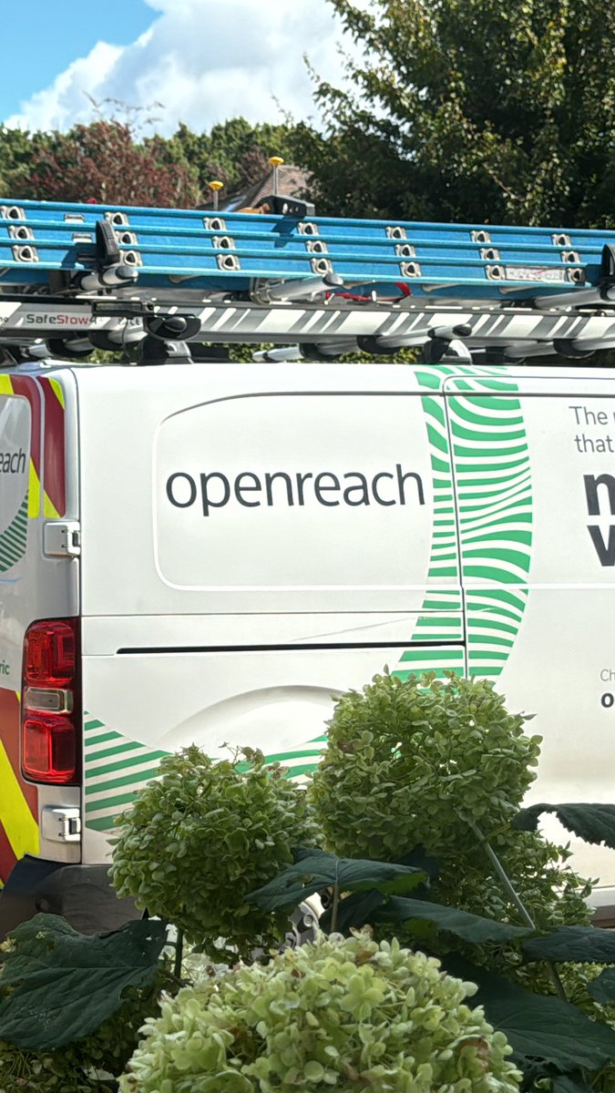 El Drapo tweet media