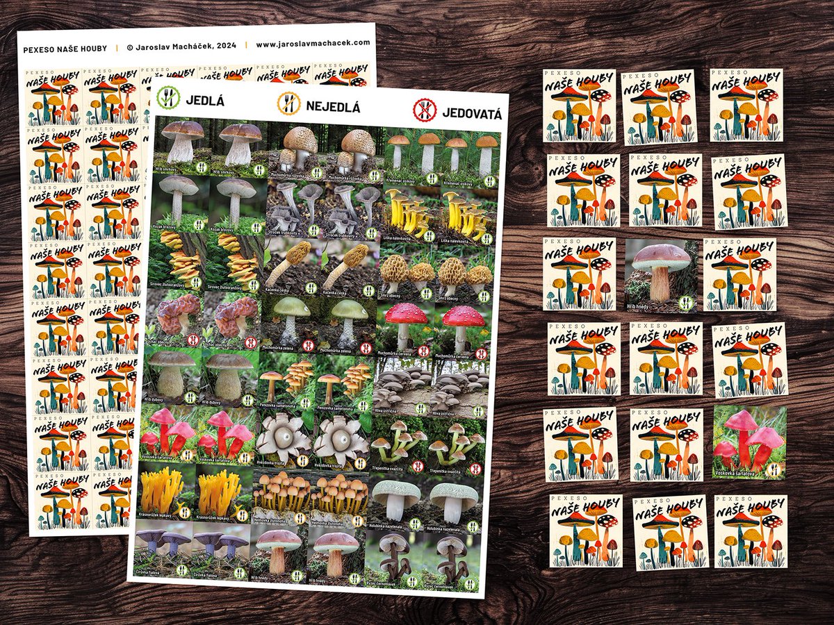 Do Vánoc a konce roku je sice ještě čas, ale uteče to, věřte tomu. Takže jsem tady opět s nabídkou mých houbařských kalendářů a letos i pexesa. Veškeré informace o cenách a způsobu objednání najdete na této adrese: jaroslavmachacek.myportfolio.com

Díky za příp. RT😉

#Houboosvěta #houby