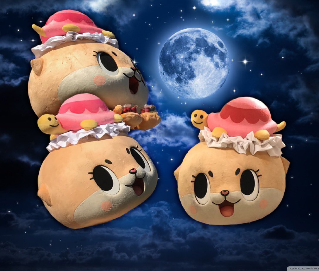 ちぃたん☆／Chiitan tweet media