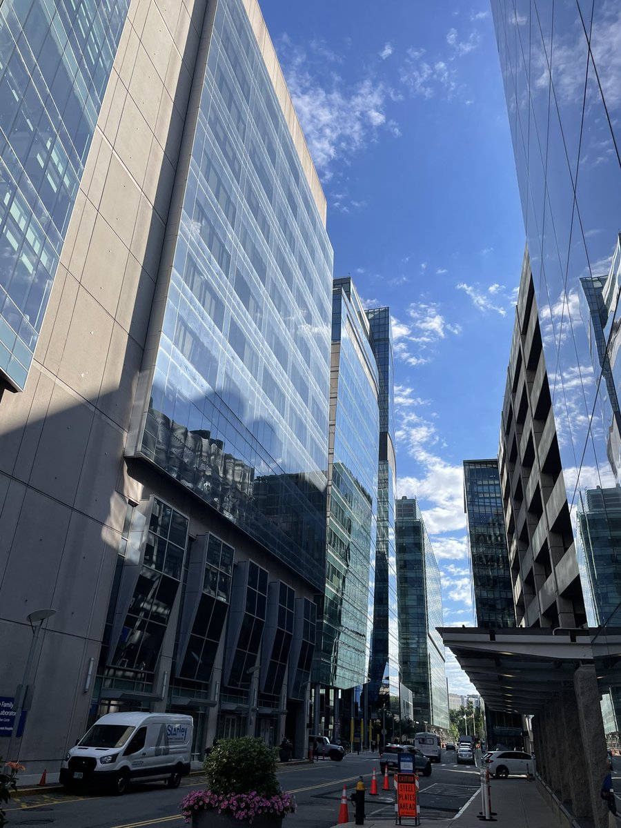ferrari_sam93's tweet image. It has been a pleasure and honor to spend the last two months in @bloodgenes’ lab at Boston Children’s Hospital. New friends and wonderful human beings. Thank you for hosting me, it has been truly inspiring and motivating!