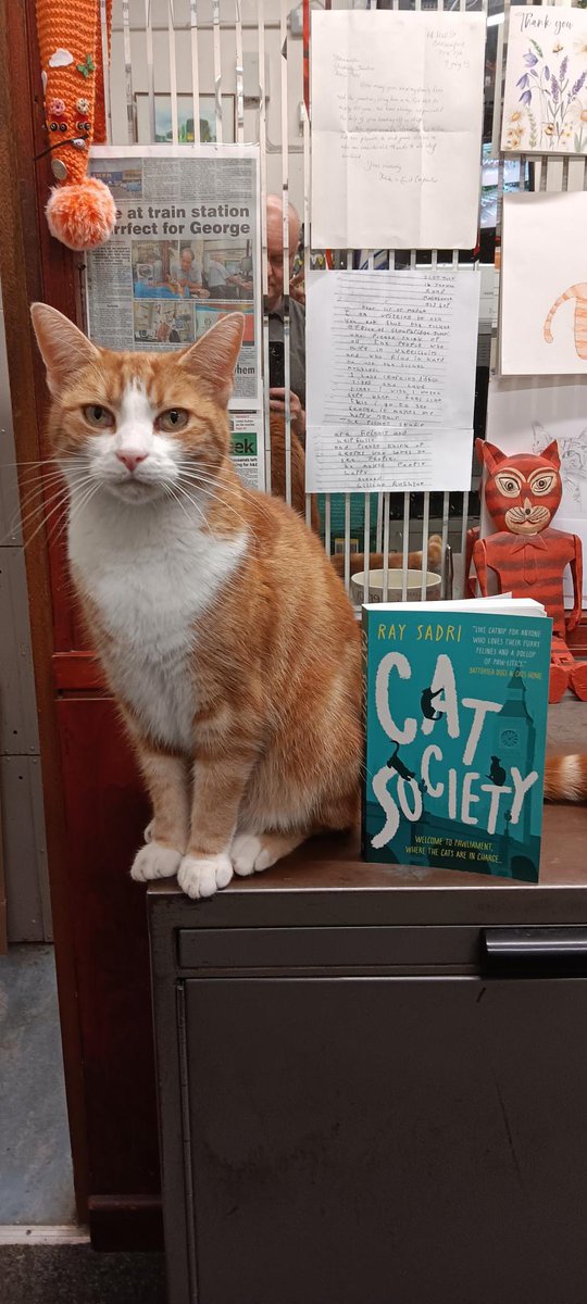 The legend that is George the Stourbridge Junction Cat has been getting stuck into Cat Society in between his shifts and snoozes 🐈📚☁️

Thanks for the pic <a href="/TheStourbridge/">George The Stourbridge Junction Station Cat</a> 

#cats #CatsLover #CatsOfTwitter #books #bookaddict #Politics