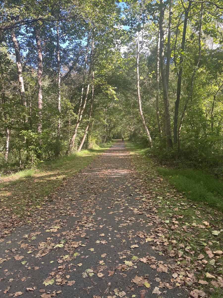 Bill Schackner tweet media