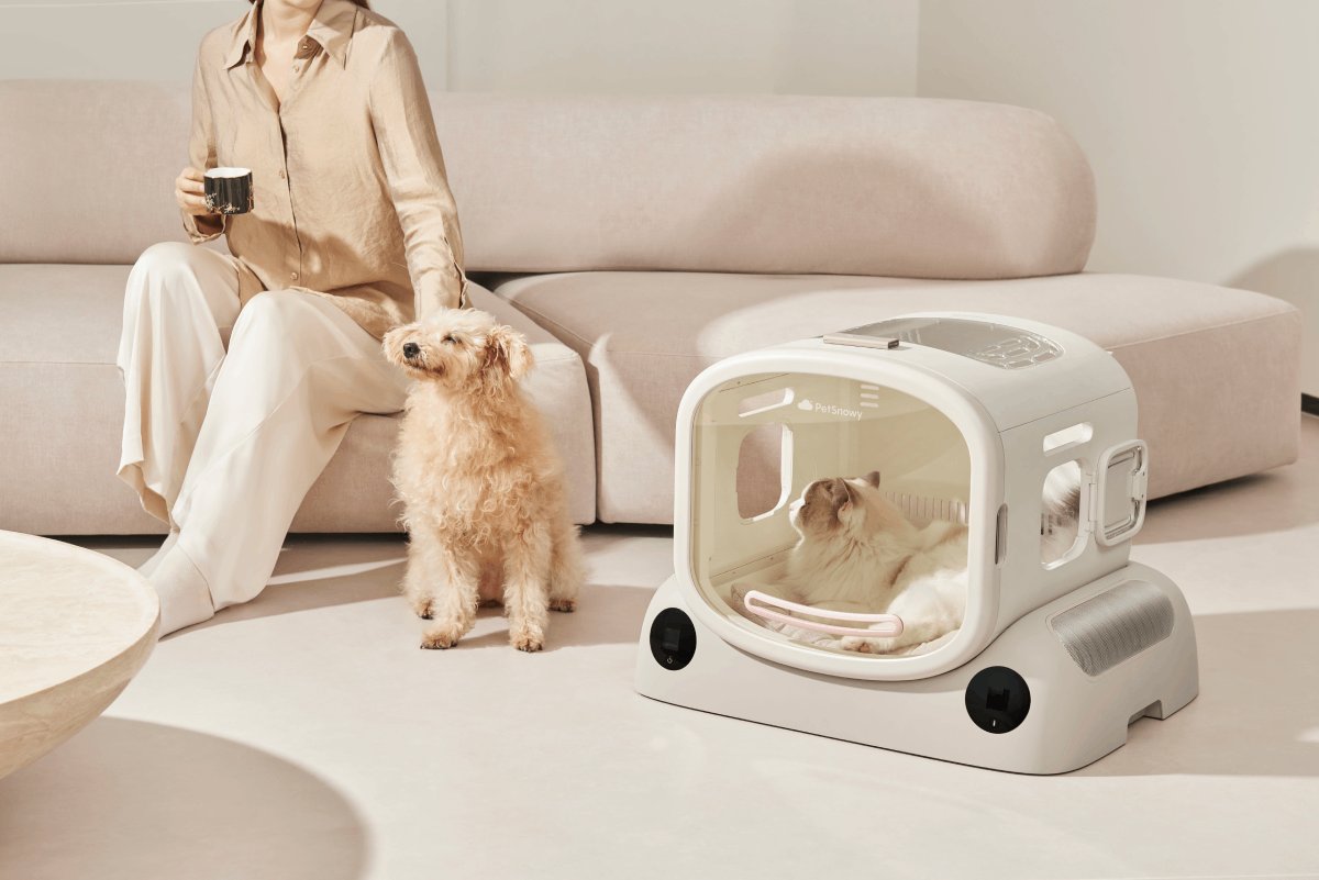 Win a PetSnowy SMILE: The ultimate pet dryer giveaway

independent.co.uk/competitions/w…