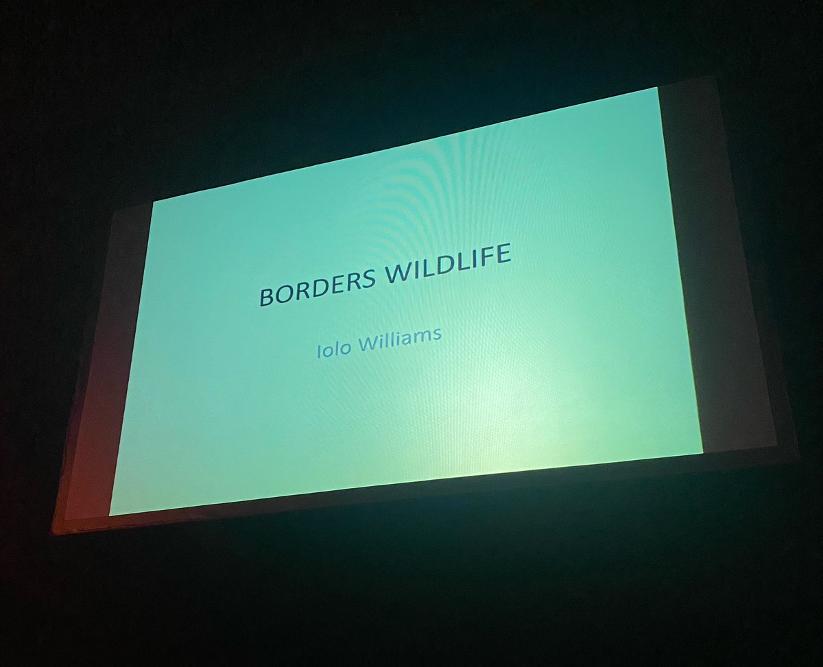blakeeuanmarlow's tweet photo. Attended a talk from @IoloWilliams2 yesterday about his stunning series ‘Borderlands’; and all about the wildlife there! You can catch the series on @BBCiPlayer! Cheers for being a top bloke and the great talk Iolo! #wildlifeconservation https://t.co/NHAtdkxONH