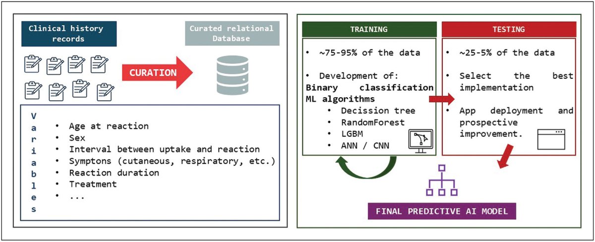 Aller_MD's tweet image. A review provides general concepts and current evidence supporting the potential utility of #predictive #models and #artificial #intelligence branches in #drug #allergy diagnosis. ivancevichmd.blogspot.com/2024/09/predic…