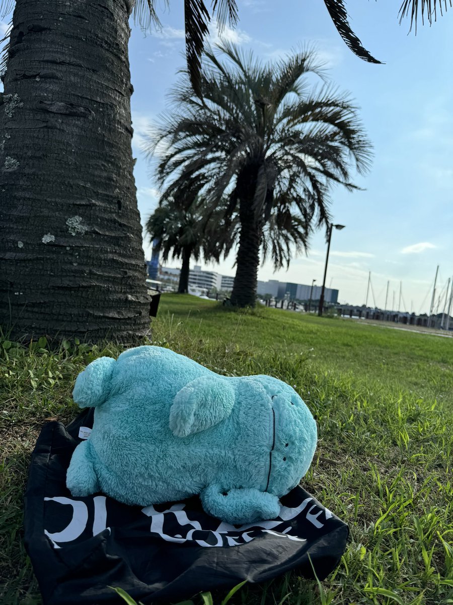 今日はお出かけしてきたぬー🚗³₃
海見れて満足だぬー！