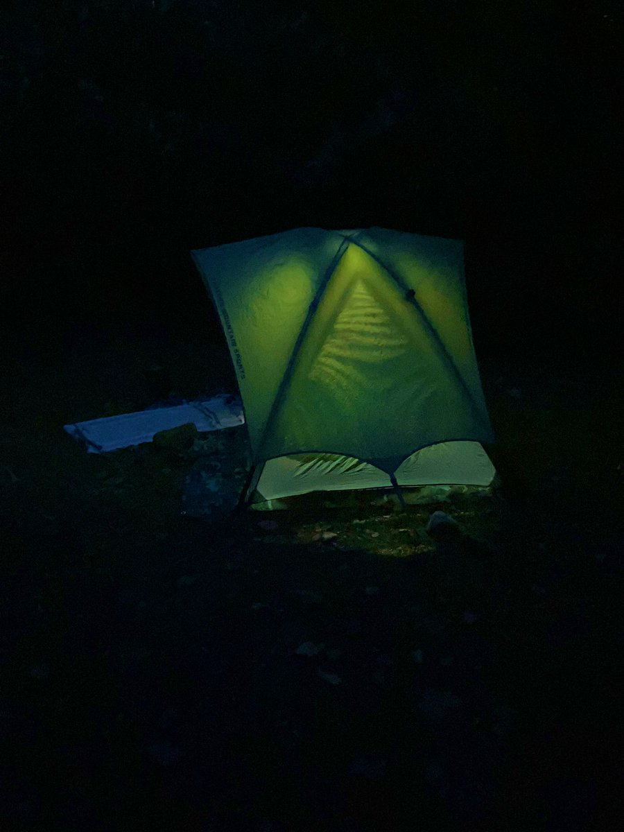 michael sarff tweet media