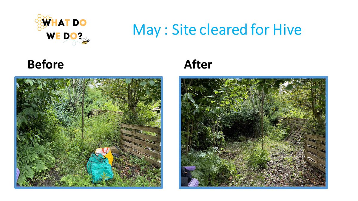 Williamwood HS tweet media