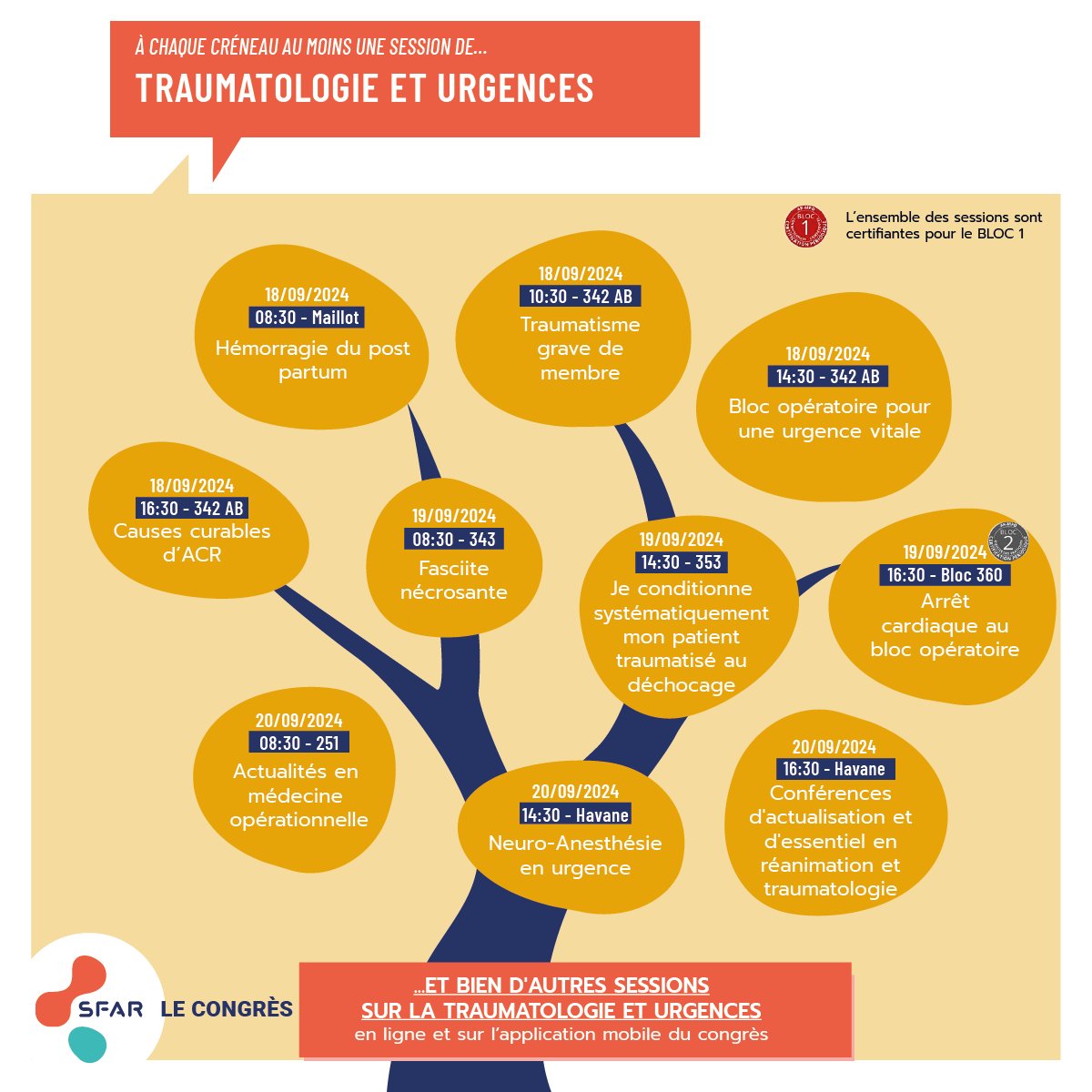🚨Découvrez le parcours "Traumatologie et Urgences" du congrès de la #SFAR2024

📚 Des ateliers spécifiques pour chaque spécialité

📝 Inscription ici ➡️ sfar-lecongres.com/inscriptions/

<a href="/SFARJeunes/">SFAR Jeunes</a> <a href="/AJARFrance/">AJAR France 🇫🇷</a> @IADE_de_France <a href="/contactfnir/">Fédération Nationale des Infirmiers de Réanimation</a> <a href="/SNIA75/">SNIA : Syndicat Nal des #IADE</a> <a href="/SNPHARE/">SNPHARE</a> <a href="/SNJeunesAR/">Syndicat National des Jeunes Anesth-Réa</a> <a href="/SyndicatSnarf/">SNARF</a>