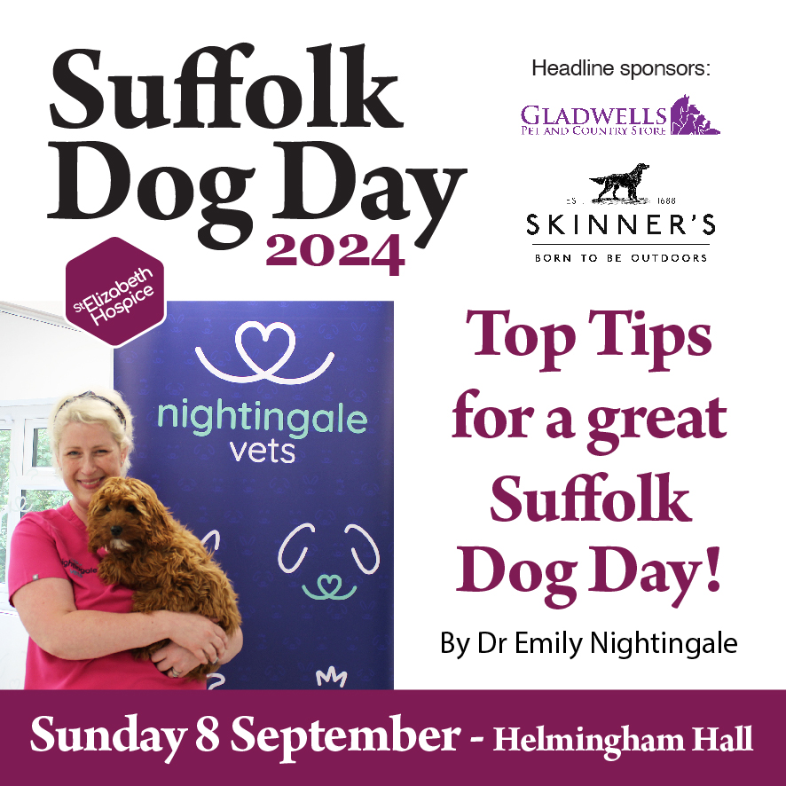 Dr Emily Nightingale has shared some 'Top Tips' for everyone attending Suffolk Dog Day 2024. Get the most out of your day while caring for your dogs.💜

🐾 Top Tips - stelizabethhospice.org.uk/suffolkdogday/… 

🎟 There is still time to save by booking tickets in advance - bit.ly/SuffolkDogDay24