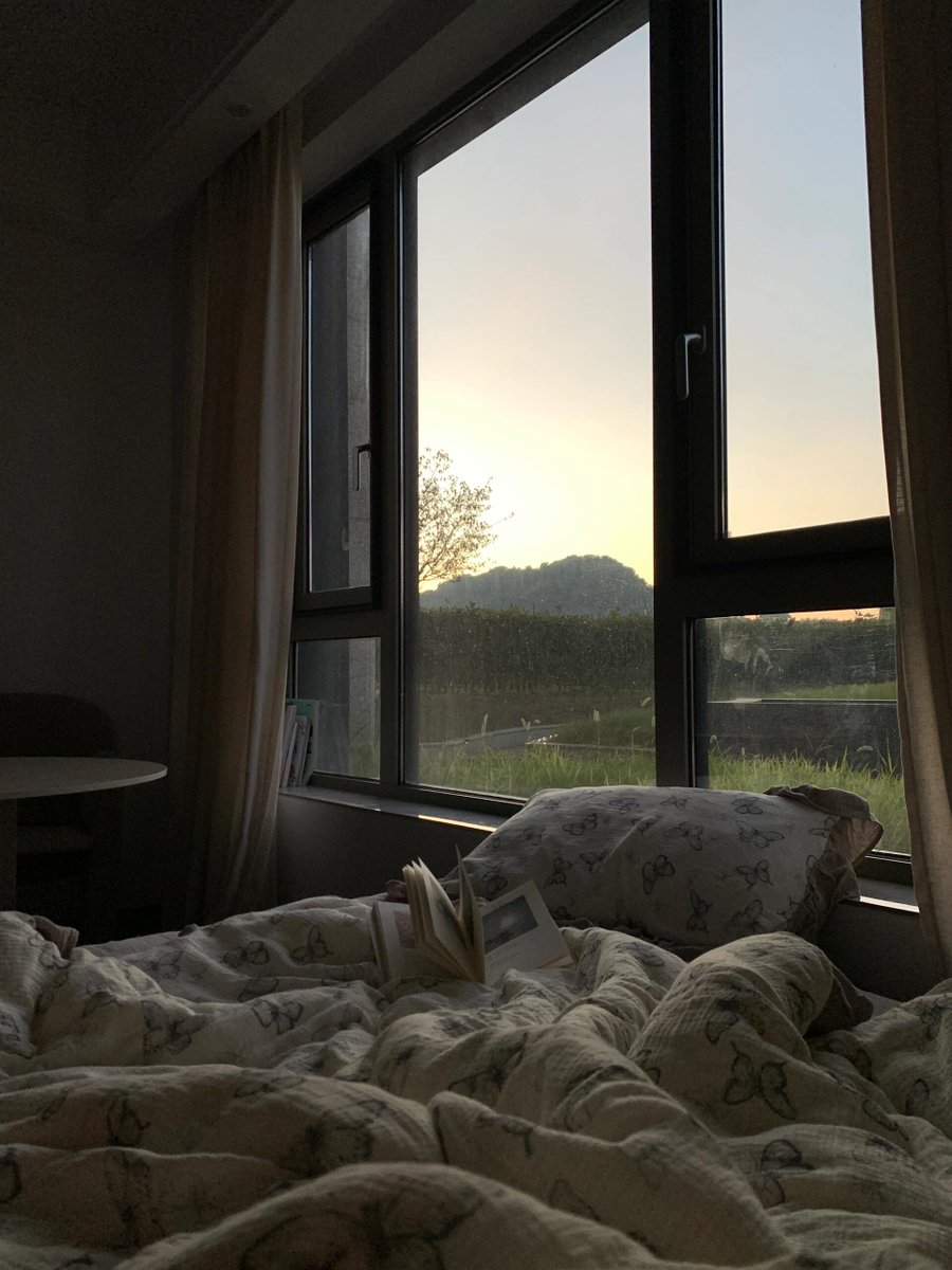 Good Morning 😊😊😊I opened the window in the morning to watch the sunrise with my kitten 😊😊