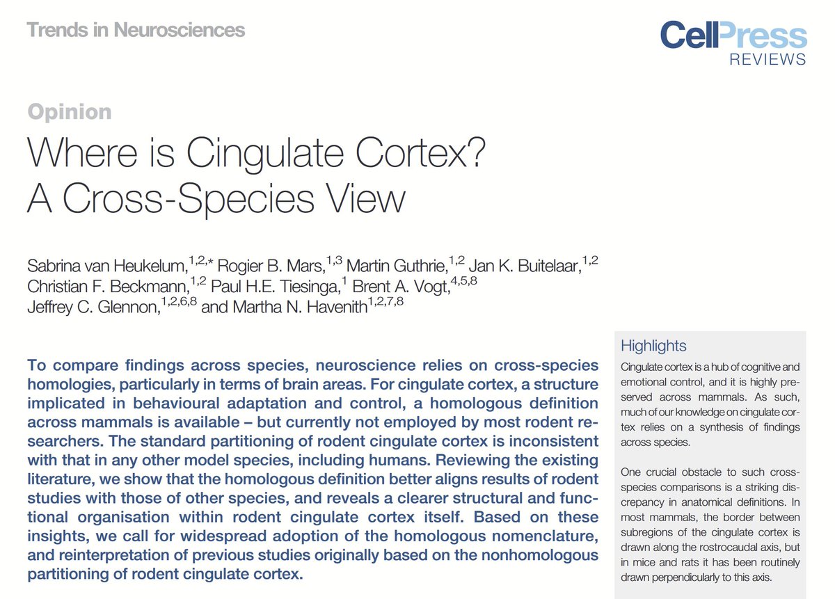 Luiz Pessoa tweet media