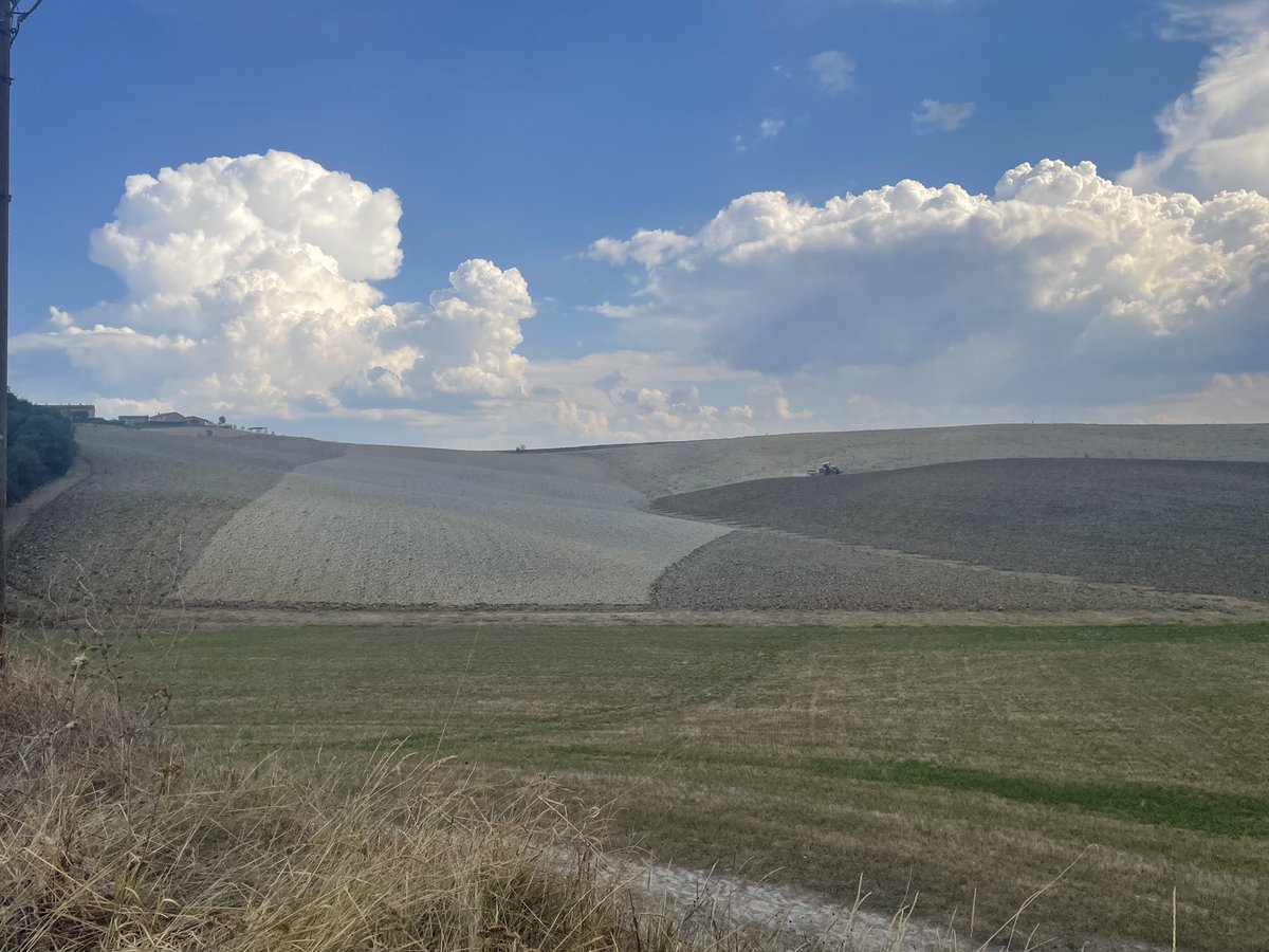 Matt Champness tweet media