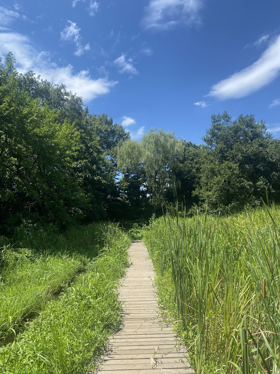 9月、#涼しい 日が増えてきました。

暑い夏が過ぎてほしいという気持ちもありましたが、どんなに暑い夏も、ほとんどの人間が100回体験する前に寿命を迎えます。

そう思うと、暑さも、それはそれで愛おしく感じますね。

一日一日を、丁寧に、季節を感じながら生きたいと思うこの頃です。