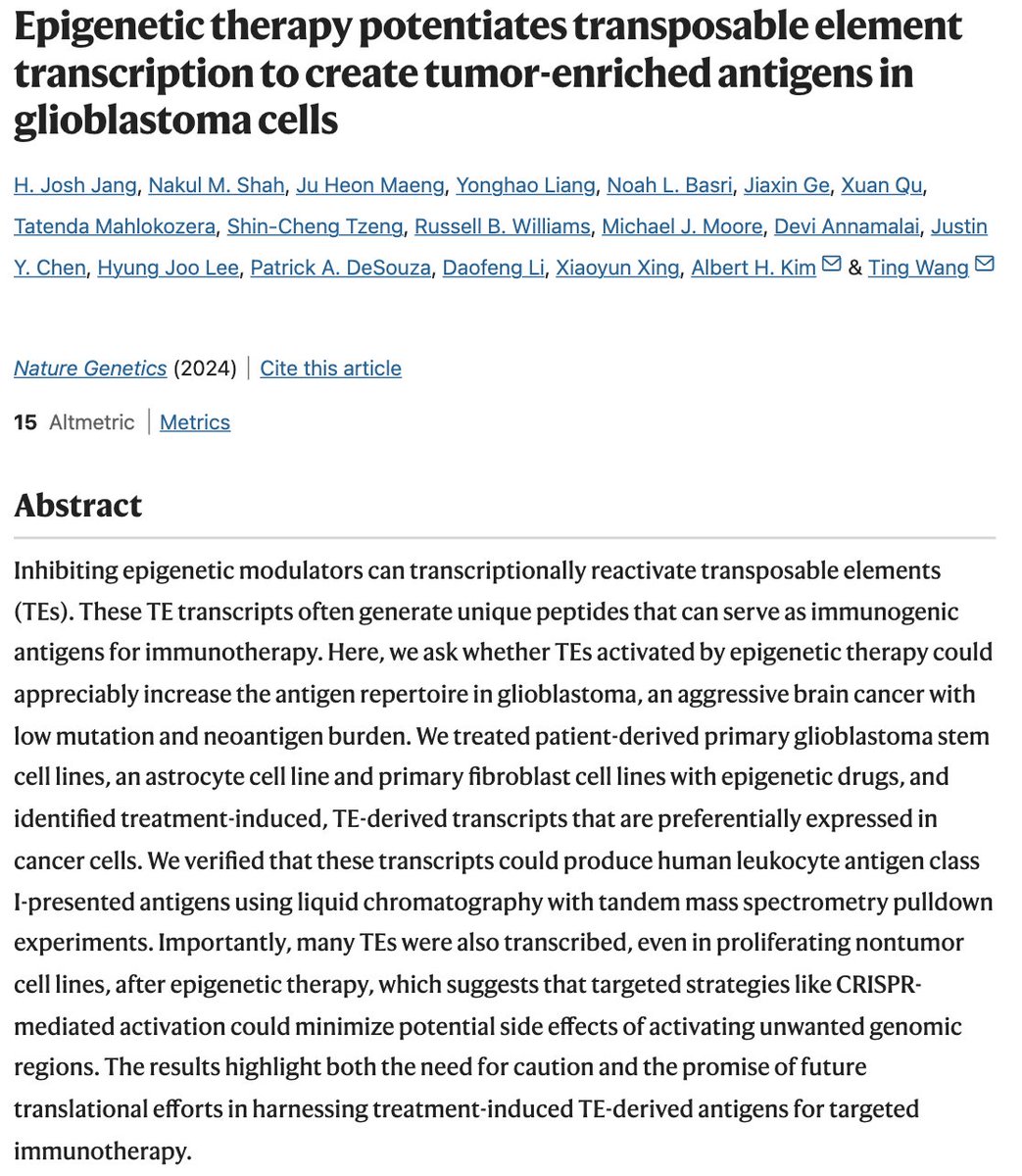 Nakul Shah (@nakul2234) on Twitter photo 🧬🚨 Our study on novel antigens induced in glioblastoma upon treatment with epigenetic therapy is out!! This study was led by <a href="/joshhjang/">joshhjang</a> with co-first-authors <a href="/leung_holden/">Yonghao Liang</a> and <a href="/JuheonM/">Ju-Heon Maeng</a>, and mentored by <a href="/twang5/">Ting Wang</a> and <a href="/AlbertHKimMDPhD/">Albert H. Kim</a>. 5 Key Takeaways: 1/5
nature.com/articles/s4158… 🧬🚨 Our study on novel antigens induced in glioblastoma upon treatment with epigenetic therapy is out!! This study was led by <a href="/joshhjang/">joshhjang</a> with co-first-authors <a href="/leung_holden/">Yonghao Liang</a> and <a href="/JuheonM/">Ju-Heon Maeng</a>, and mentored by <a href="/twang5/">Ting Wang</a> and <a href="/AlbertHKimMDPhD/">Albert H. Kim</a>. 5 Key Takeaways: 1/5
nature.com/articles/s4158…