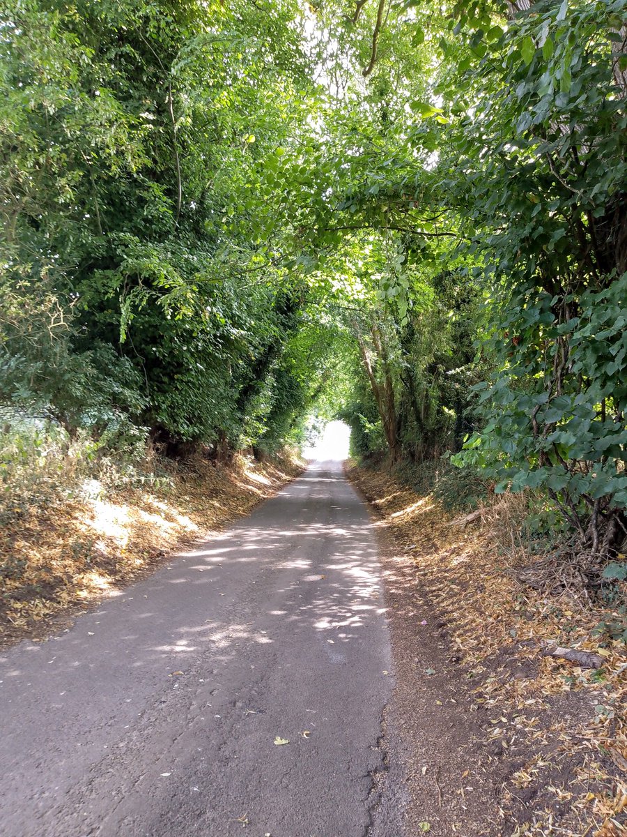 Two short #Sunkenlanes, in #Bedfordshire*&amp; #Northamptonshire* 
#FarndishHolloway* #HardwickHolloway**#PhilOnaBike #HollowayWednesday #BywayFriday