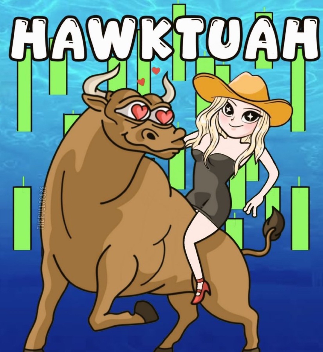 Always bullish on #HAWKTUAH $SOL #SOLANA