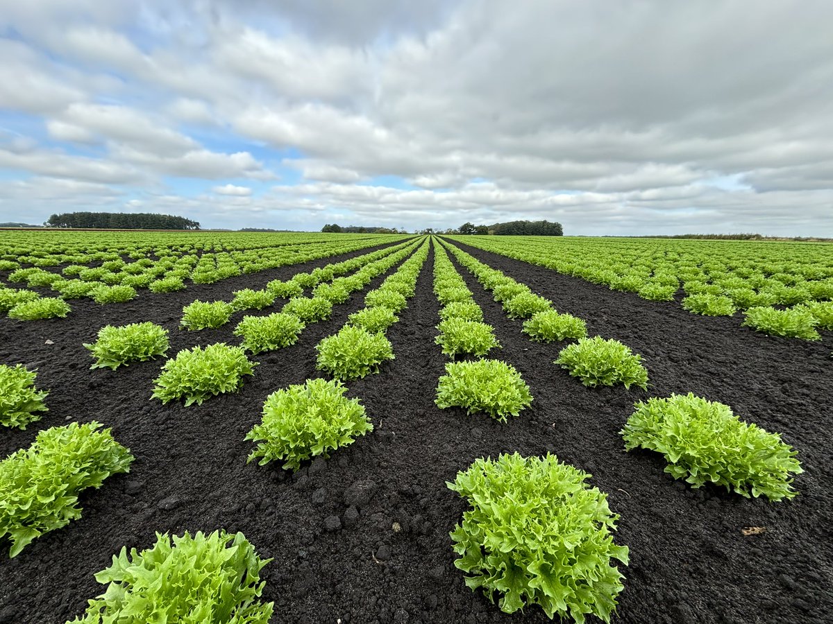 Alexander Silverwood tweet media