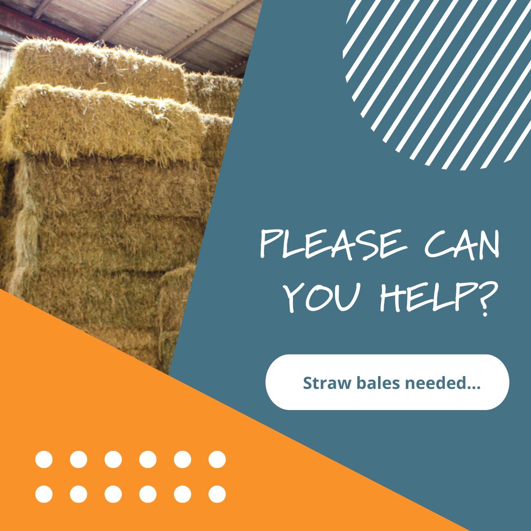The Matthew Project Charity (@matthewproject) on Twitter photo Please can you help? We're looking for 15 (or so) straw bales for seating at our 40FEST on 21.09.24. Do you know anyone that might have some for us to borrow please? Collection and return can be organised...
Please share with your networks š
<a href="/followers/">ćÆććÆć</a> Please can you help? We're looking for 15 (or so) straw bales for seating at our 40FEST on 21.09.24. Do you know anyone that might have some for us to borrow please? Collection and return can be organised...
Please share with your networks š
<a href="/followers/">ćÆććÆć</a>