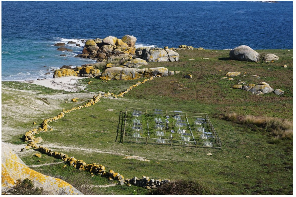 carolaUSC's tweet photo. 🦠 New paper out!  🌱

We have studied the legacy effects of an invasive plant, Carpobrotus edulis, on the soil microbiome several months after its eradication.   

We used a very cool experimental setting to assess the impact under both current and climate change conditions. https://t.co/1V6eBOQiQw