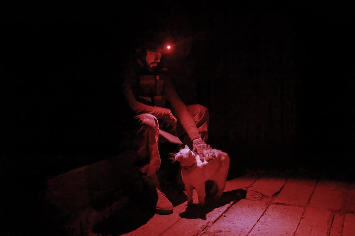 Marian Kushnir tweet media