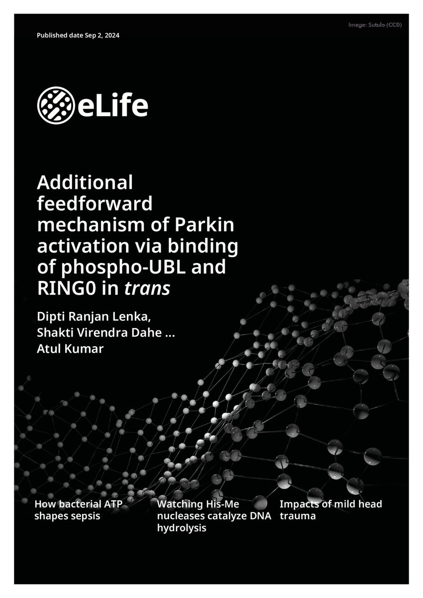 Miratul Muqit (@miratul_neuro) on Twitter photo Pleased to have contributed to this exciting new story on #Parkin activation from <a href="/Atulkumar_cmc/">Atul Kumar</a> Lab #Parkinson #mitophagy mechanisms
Click to read paper here: elifesciences.org/articles/96699 Pleased to have contributed to this exciting new story on #Parkin activation from <a href="/Atulkumar_cmc/">Atul Kumar</a> Lab #Parkinson #mitophagy mechanisms
Click to read paper here: elifesciences.org/articles/96699