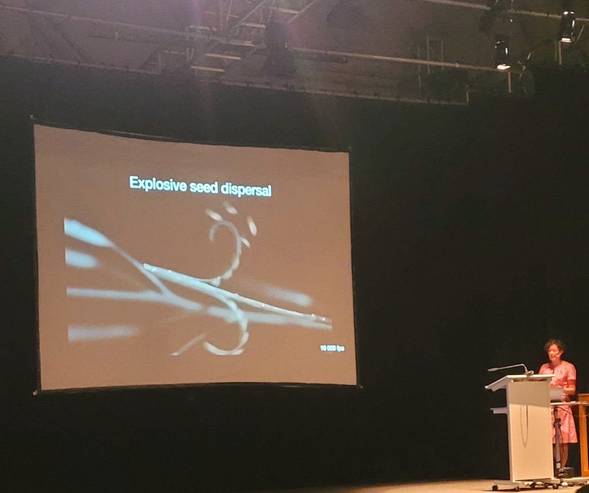Excited to kick off our third session with Angela Hay, as she delves into the fascinating world of explosive seed launch mechanisms! 🌱🚀 #PADiBa2024