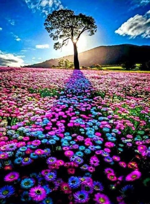 Ve asl�nda hayat dedi�in ya�ayabildi�in  kadar g�zeldir