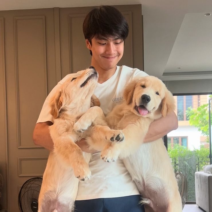 boyslovehub's tweet photo. 🚨 Chinese fans of OhmNanon commit yet another criminal act, threatening Ohm Pawat, his dogs, and even his car.

A Twitter account exposed conversations on Weibo where the threats were made and called for GMMTV to protect the artist. https://t.co/6eQzc6uPLc