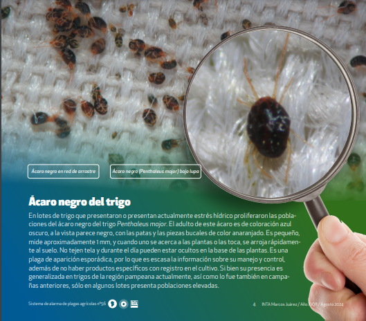 INTA Marcos Juárez tweet media