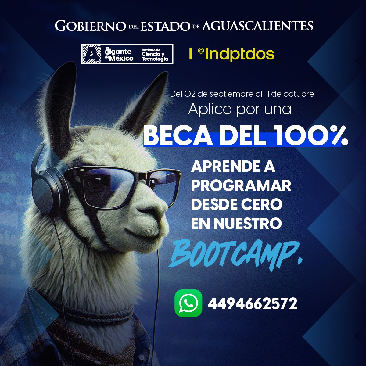 APRENDE PROGRAMACIÓN CON UNA BECA DEL 100%

A través del Instituto de Ciencia y Tecnología, anunciamos la convocatoria para becas del 100% a personas mayores de 16 años que busquen capacitarse en tecnologías de la información, principalmente como desarrolladores web. 

La