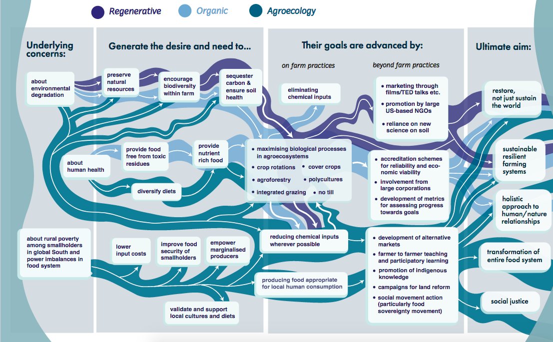 I really like this visual analysis on the differences between #organic #regenerative and #agroecology 

tabledebates.org/publication/re…