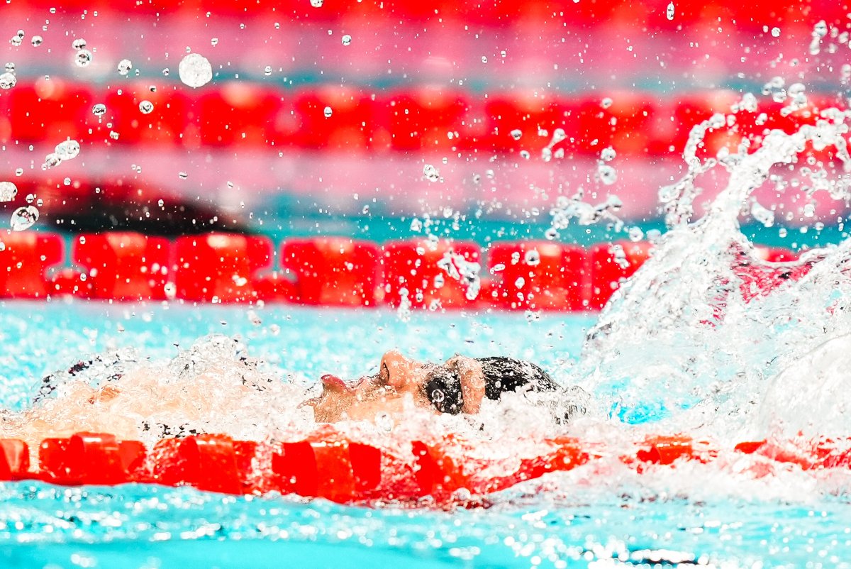incluswim_'s tweet photo. 🔛 ¡En @Paris2024 no se para! 🔥
8⃣ nadadores españoles 🇪🇸 estarán en las 𝐟𝐢𝐧𝐚𝐥𝐞𝐬 de esta tarde y pelearán por las medallas 🎖️
⏰ Desde las 17:44h
📺 https://t.co/cgnHfycE2k
¡Suerte, chic@s! 🤩🤩
#SomosINCLUSwim🏊♂️ https://t.co/S30turh8N9